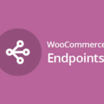Qué son los endpoints de WooCommerce